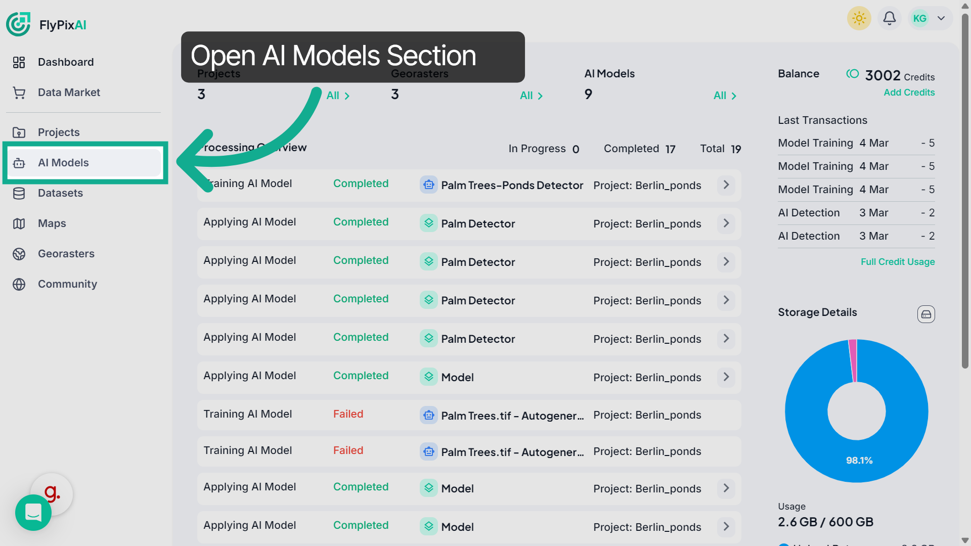 Access AI Models Section