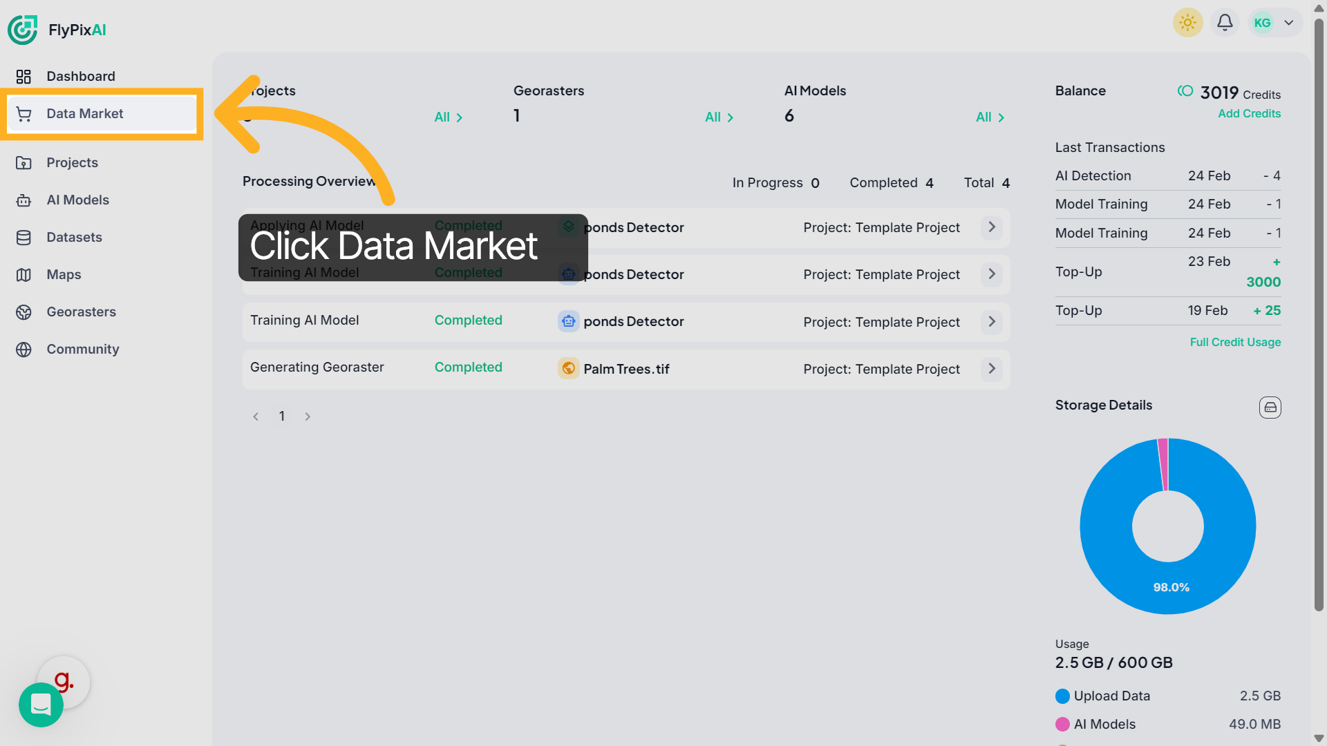 Access Data Market