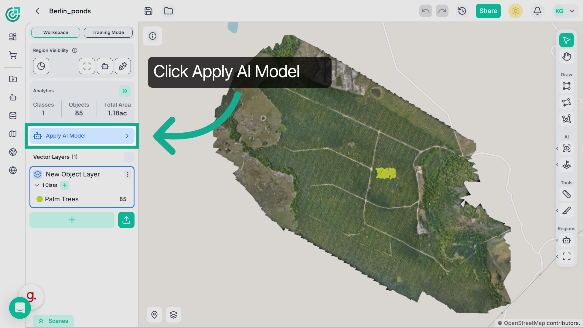 Initiate AI Model Application