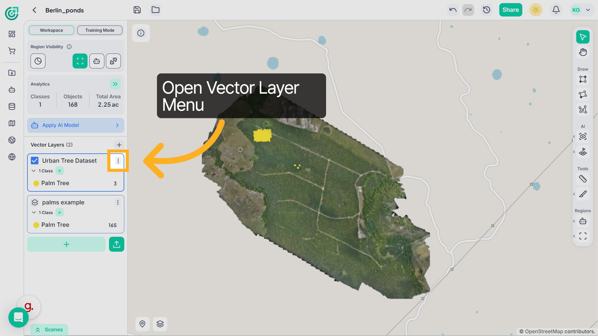Open Layer Options