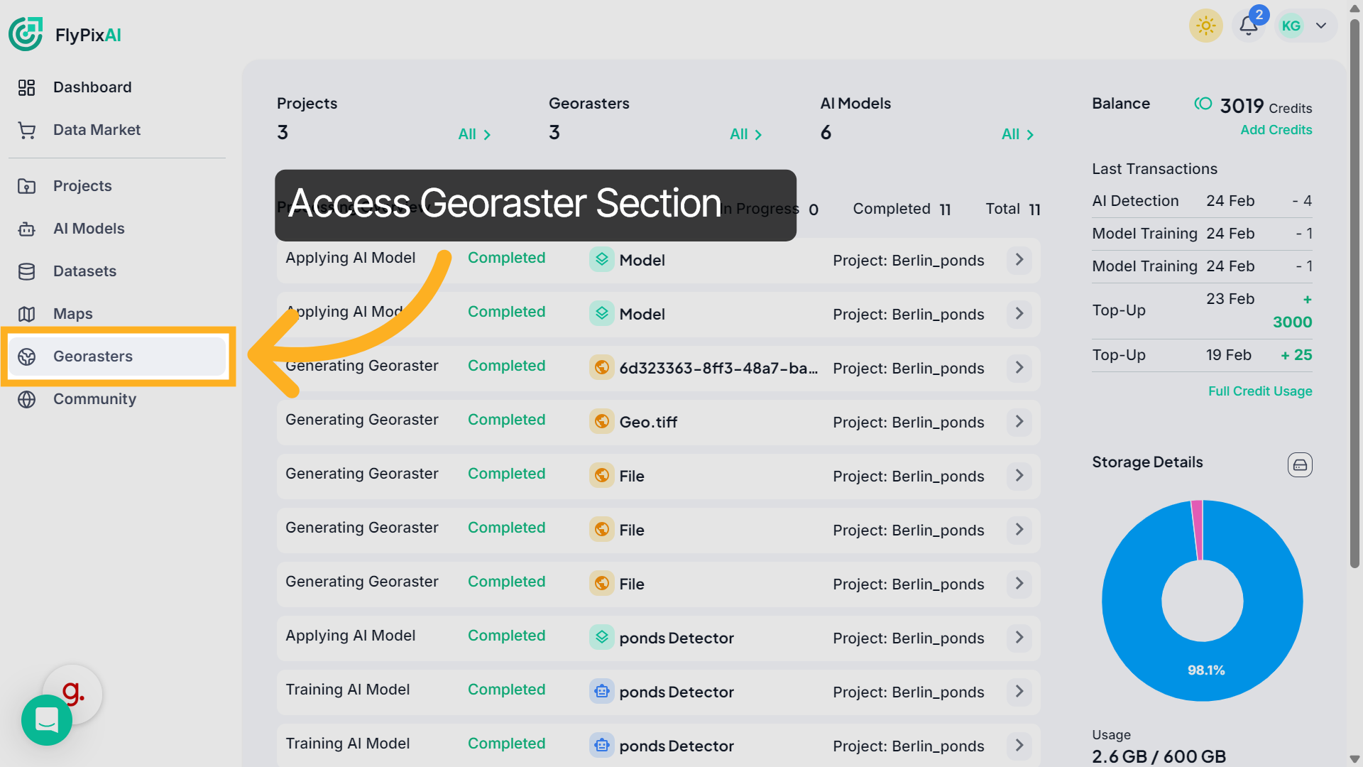 Access Georaster Section