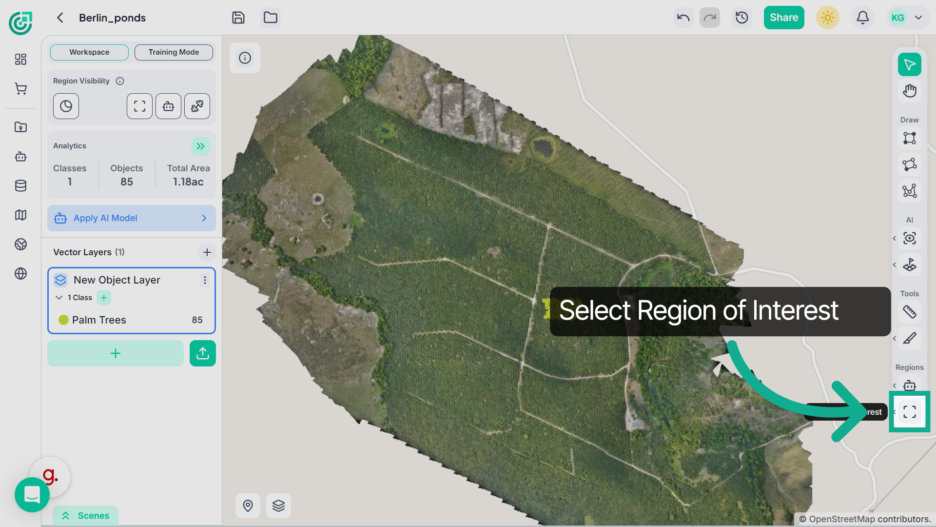 Begin Region Management