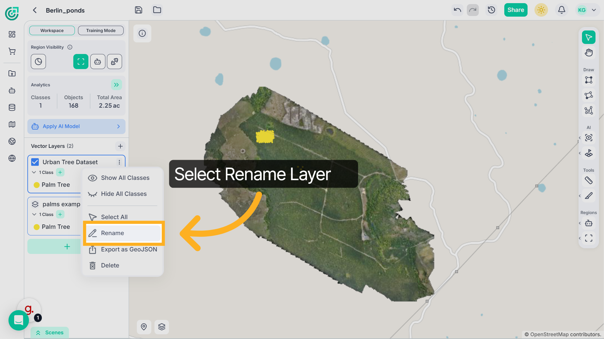 Select Rename Layer