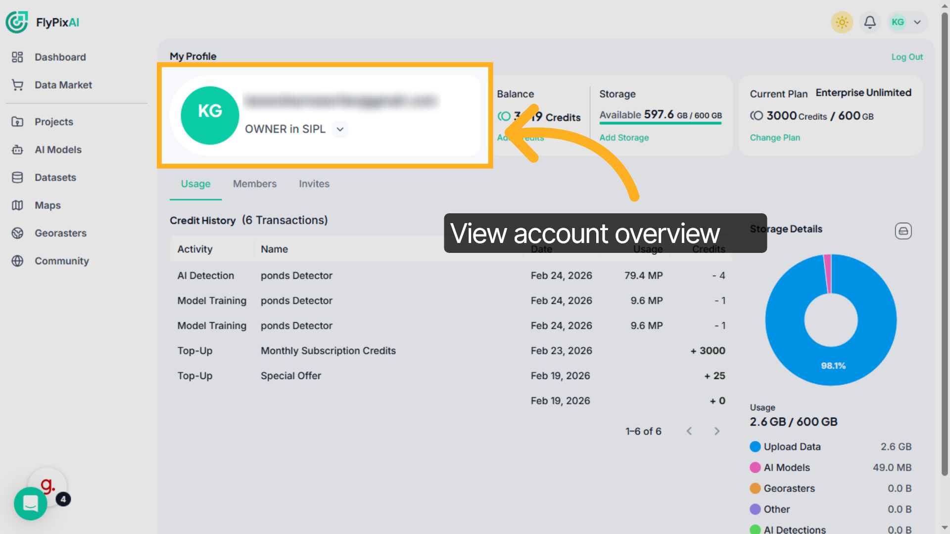 View Account Owner Details