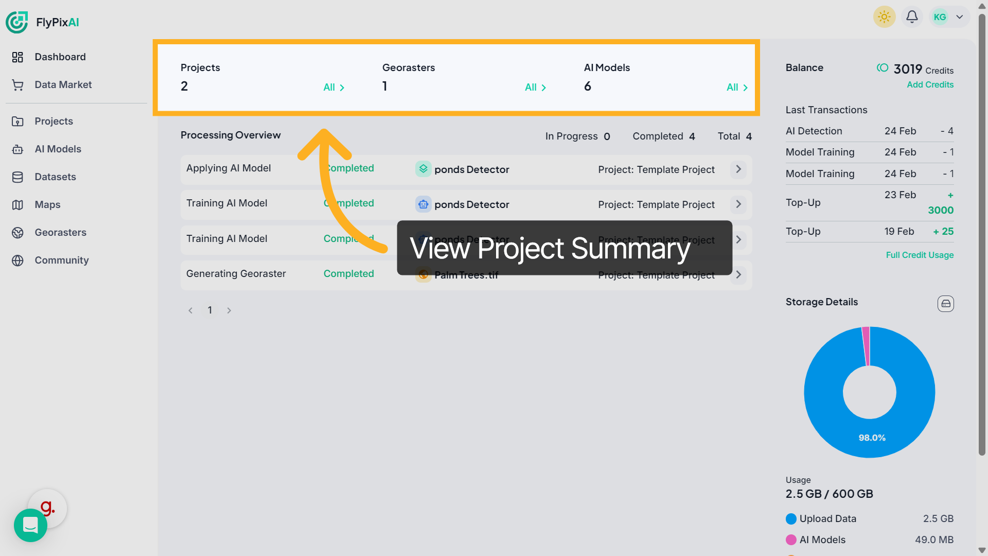 View Project Summary