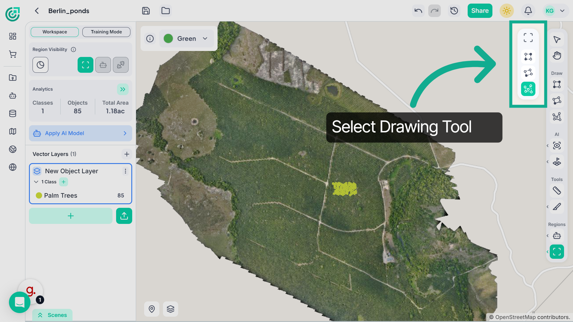 Select Draw Tool