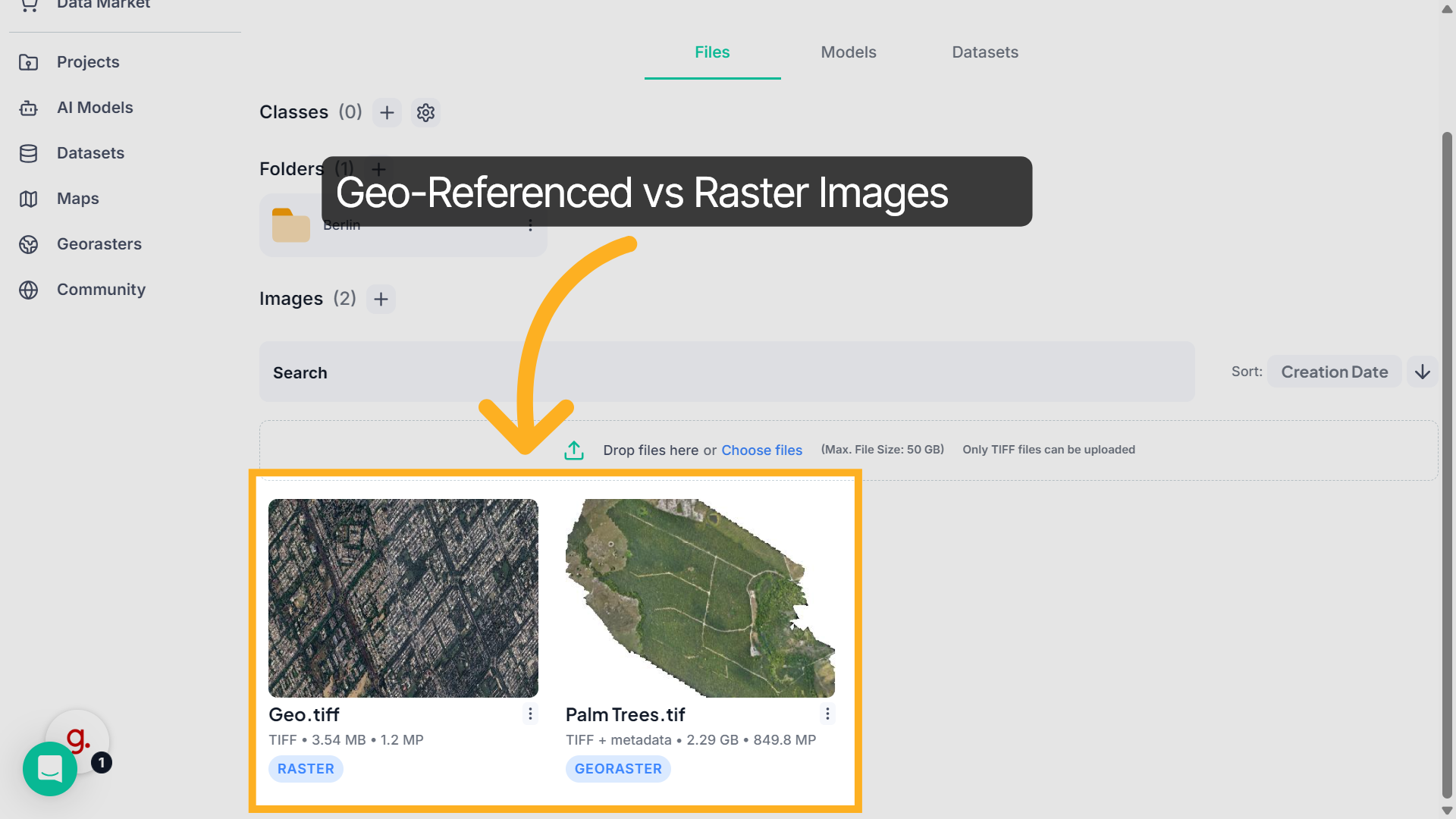 Geo-Referenced vs Raster Images