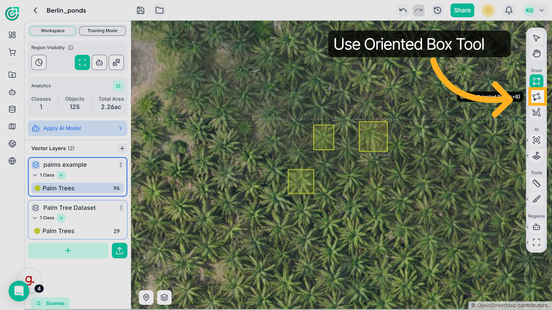 Oriented Box Tool