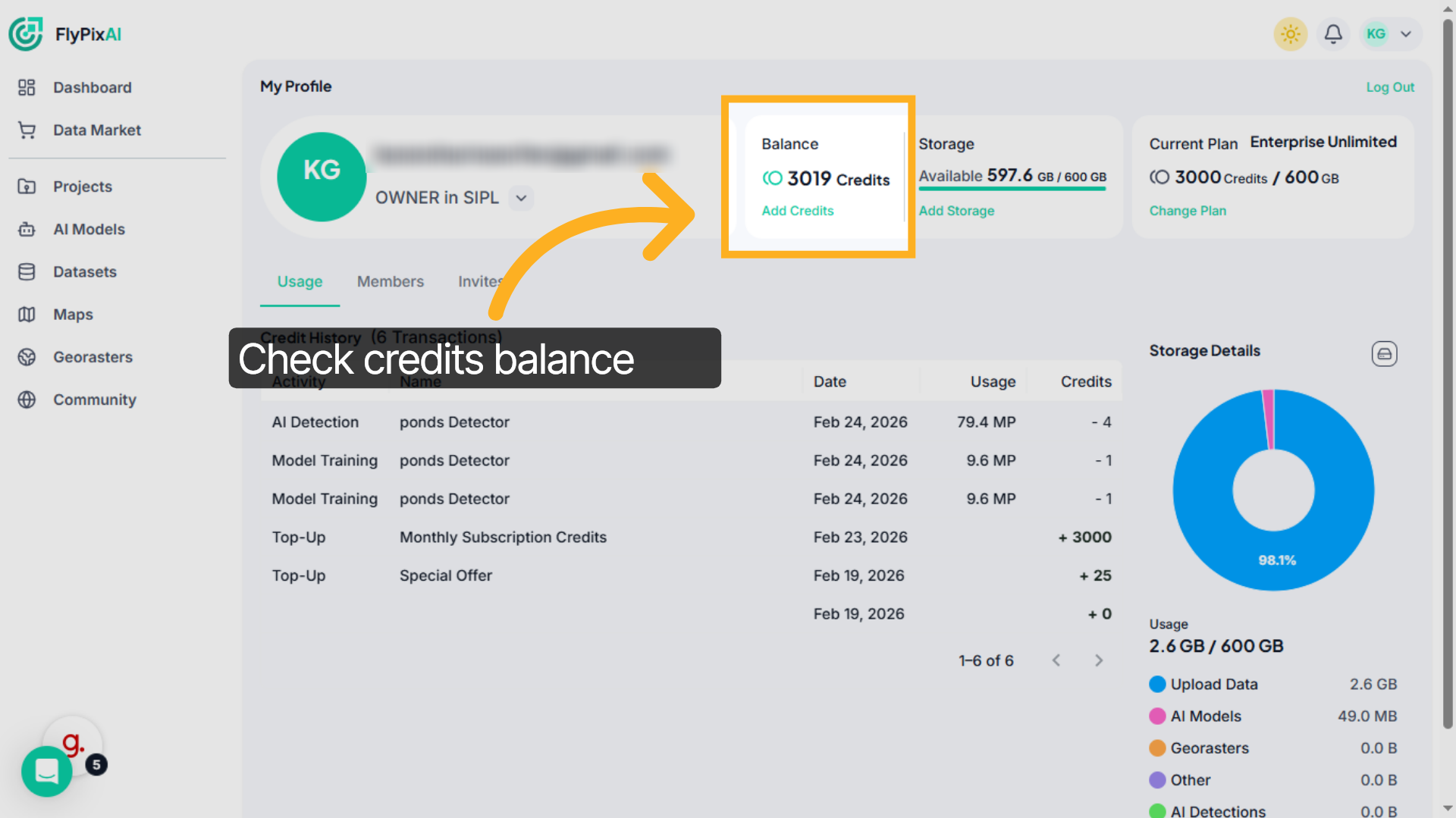 Review Credits Balance