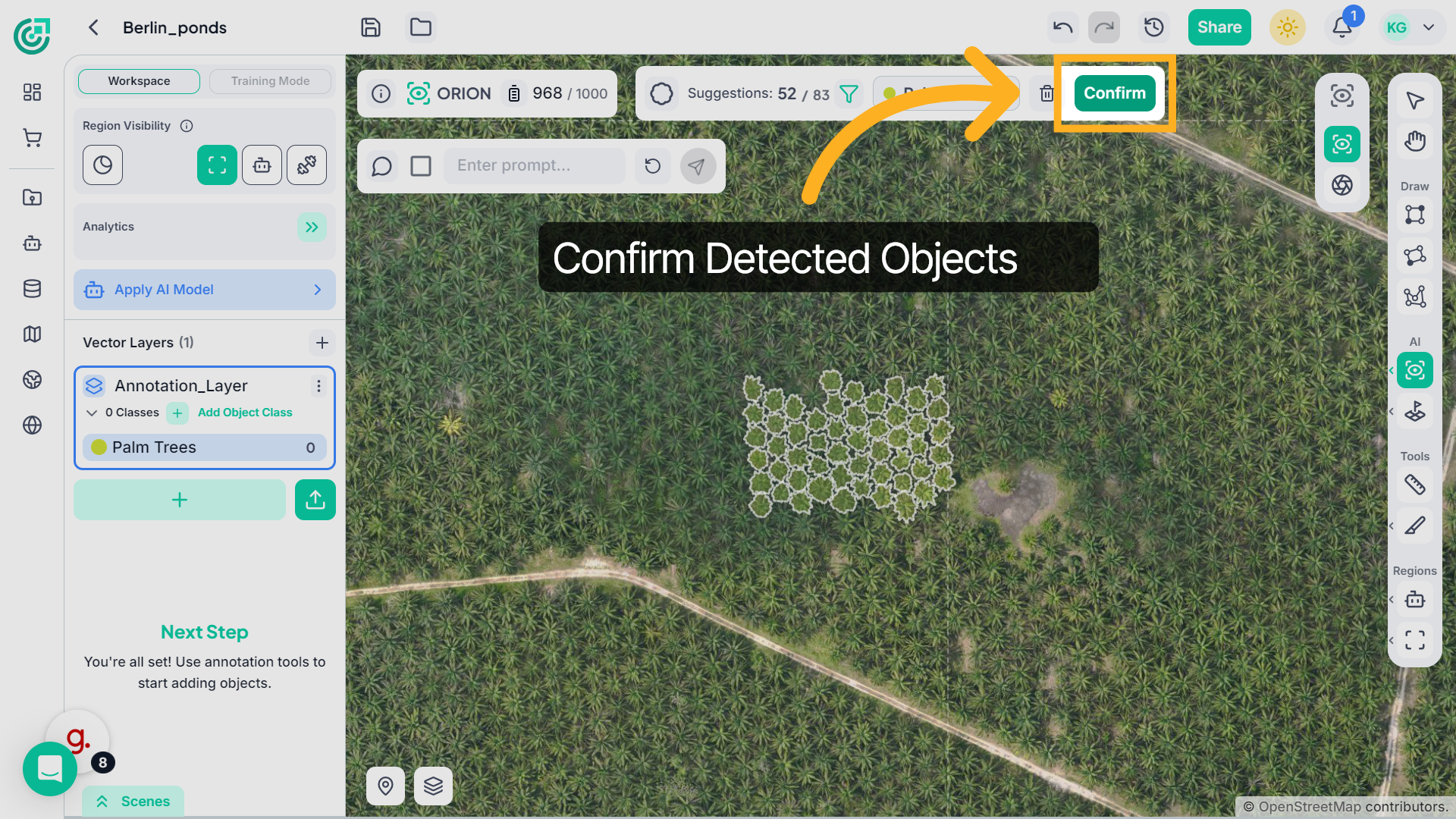 Confirm Detections