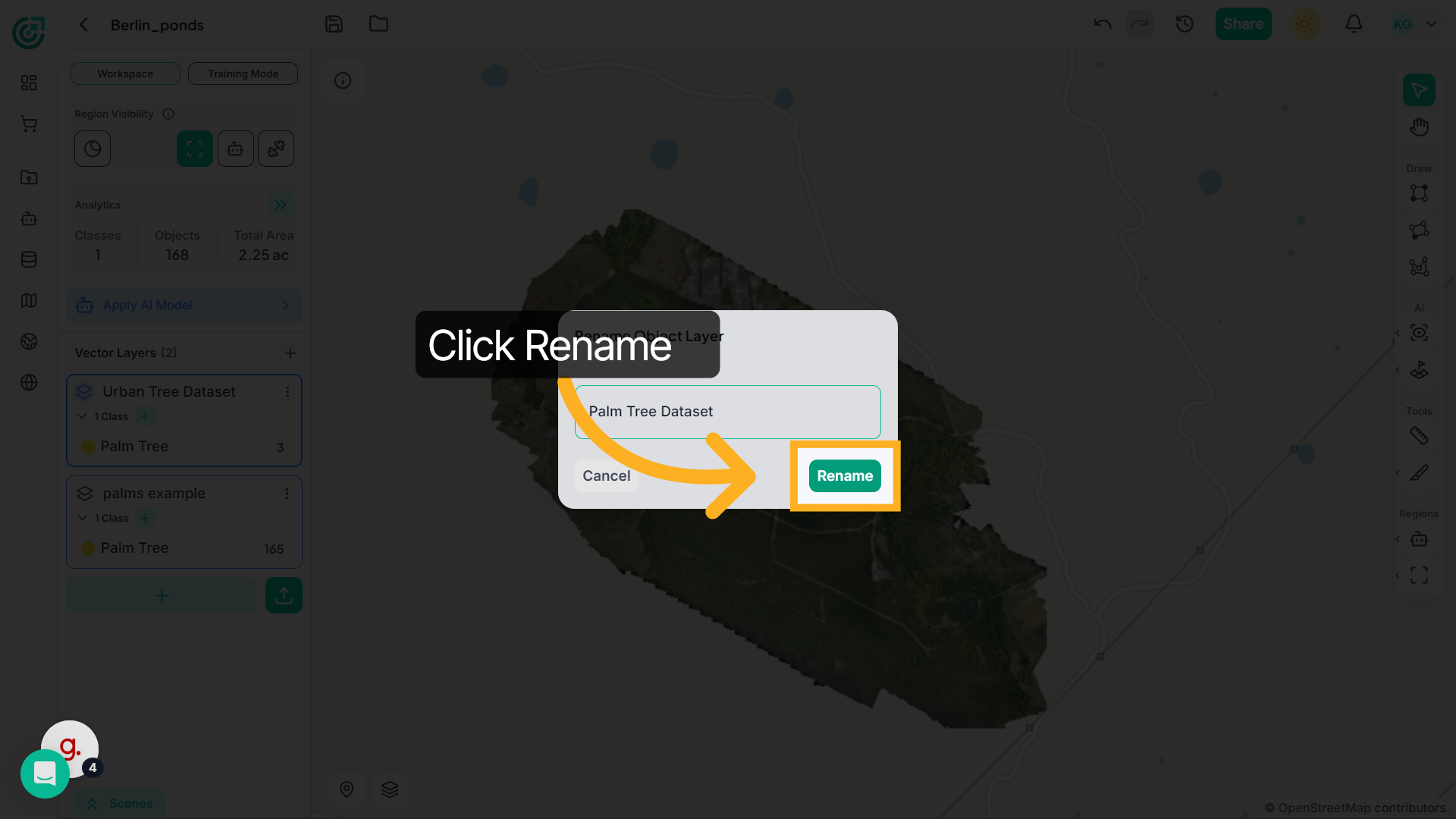 Confirm Layer Rename