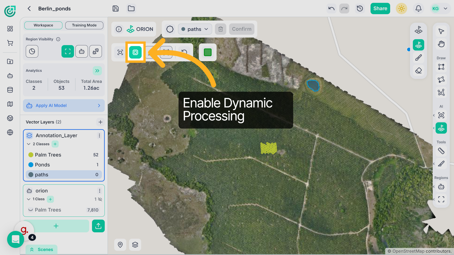 Dynamic Processing