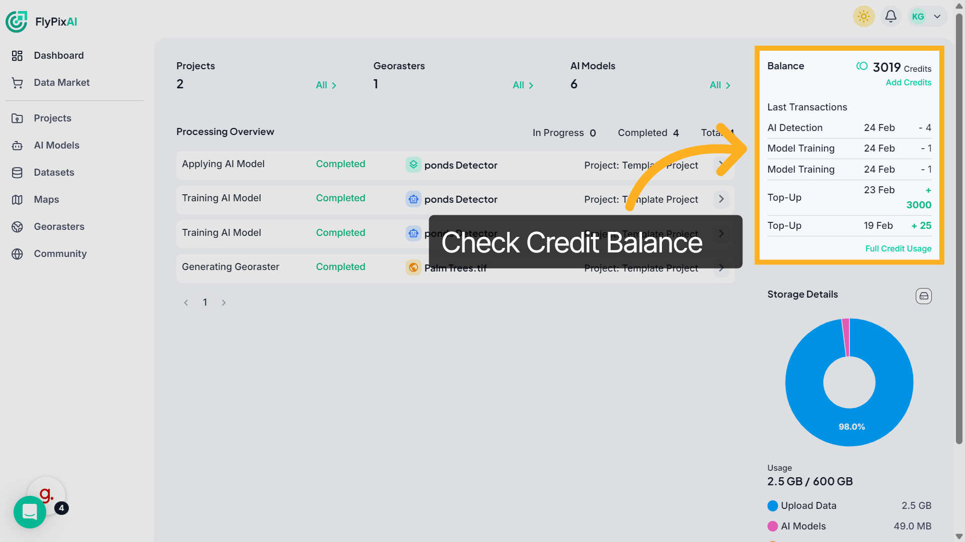 Check Credit Balance