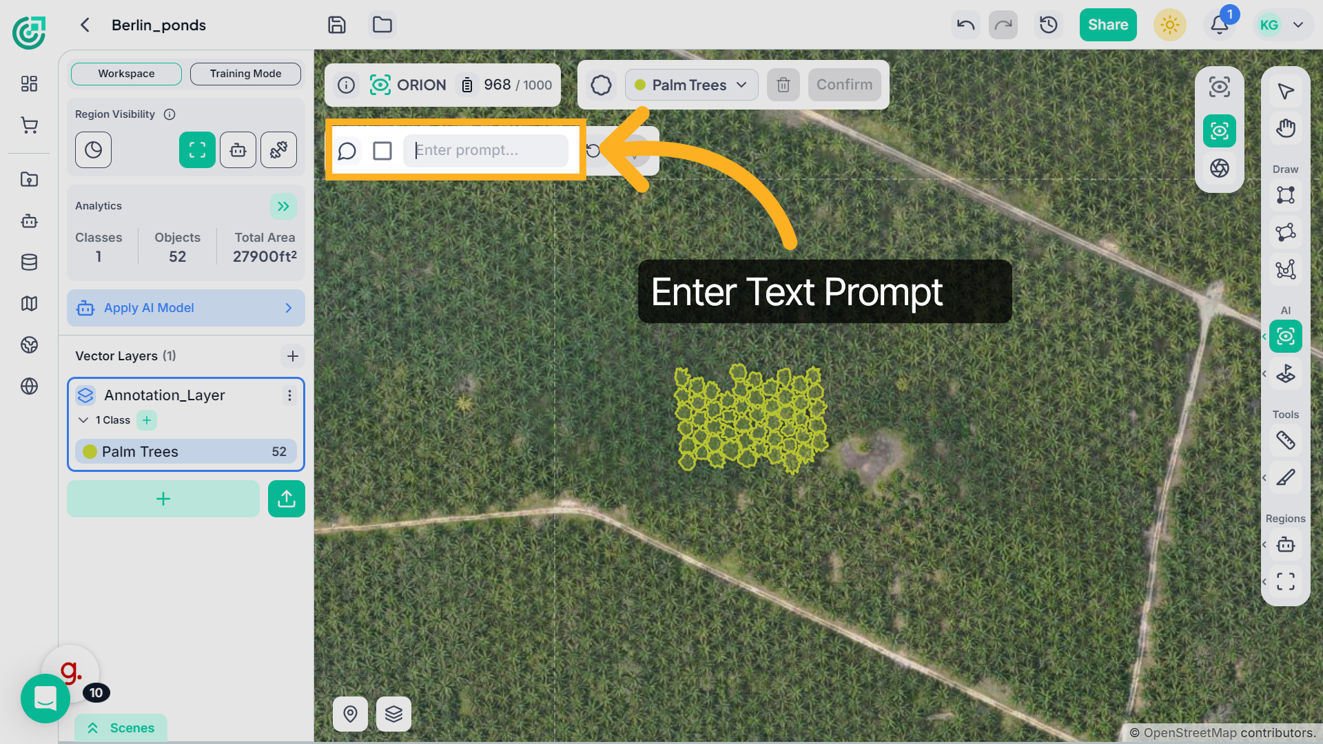 Use Text Prompt for Detection (Optional)