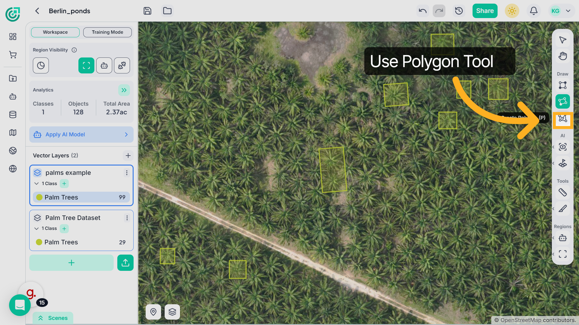 Polygon Tool