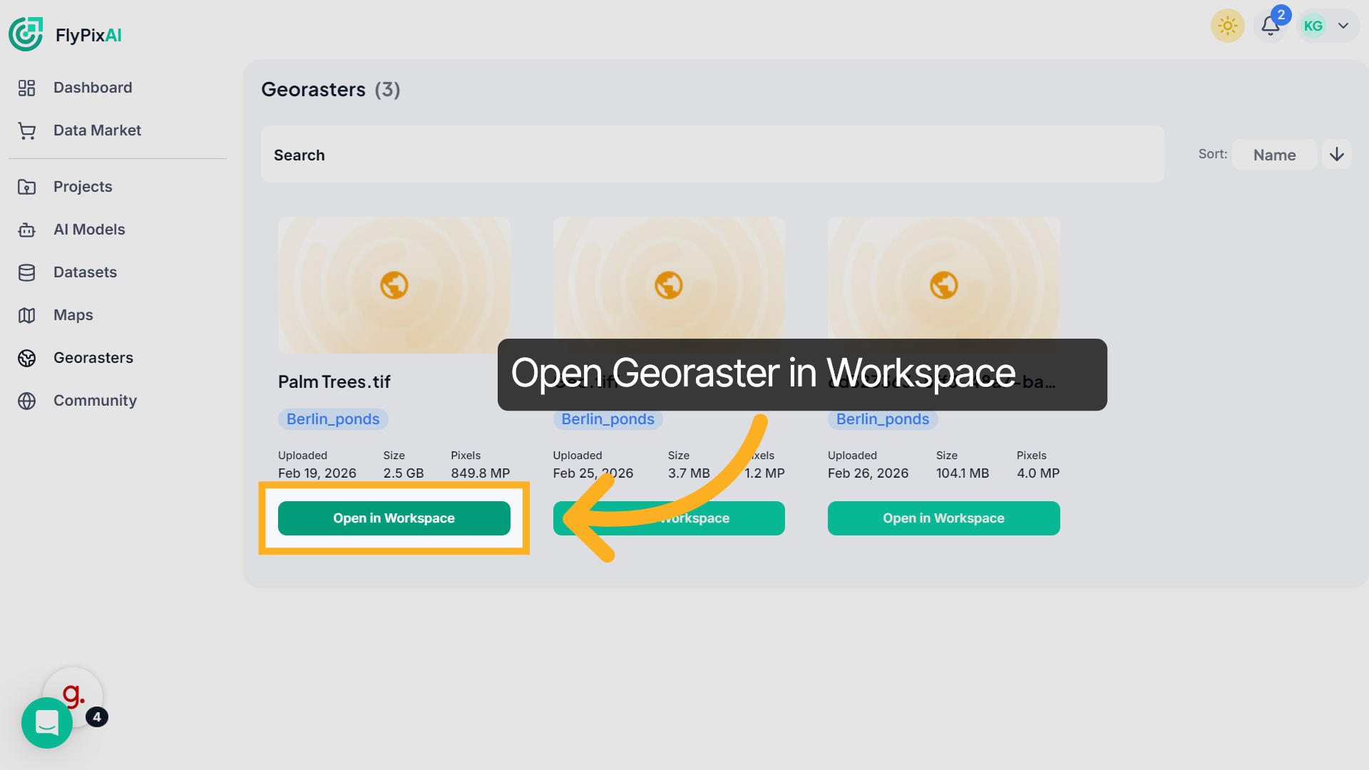 Open Georaster in Workspace