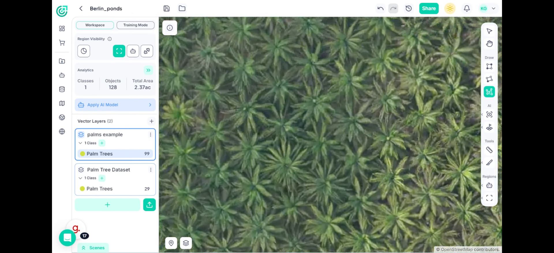 Annotate Using the Polygon Tool