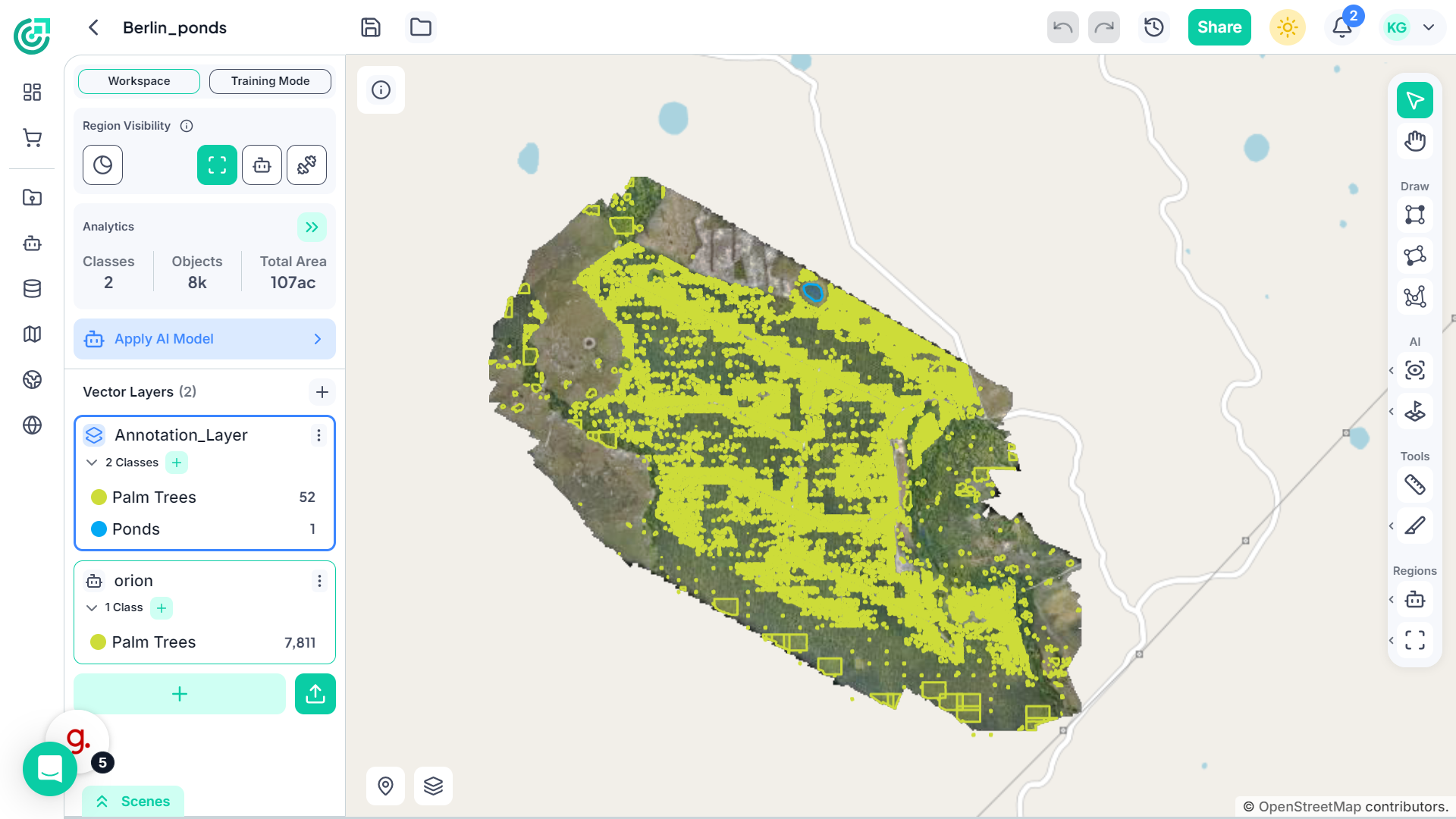 View Raster in Workspace
