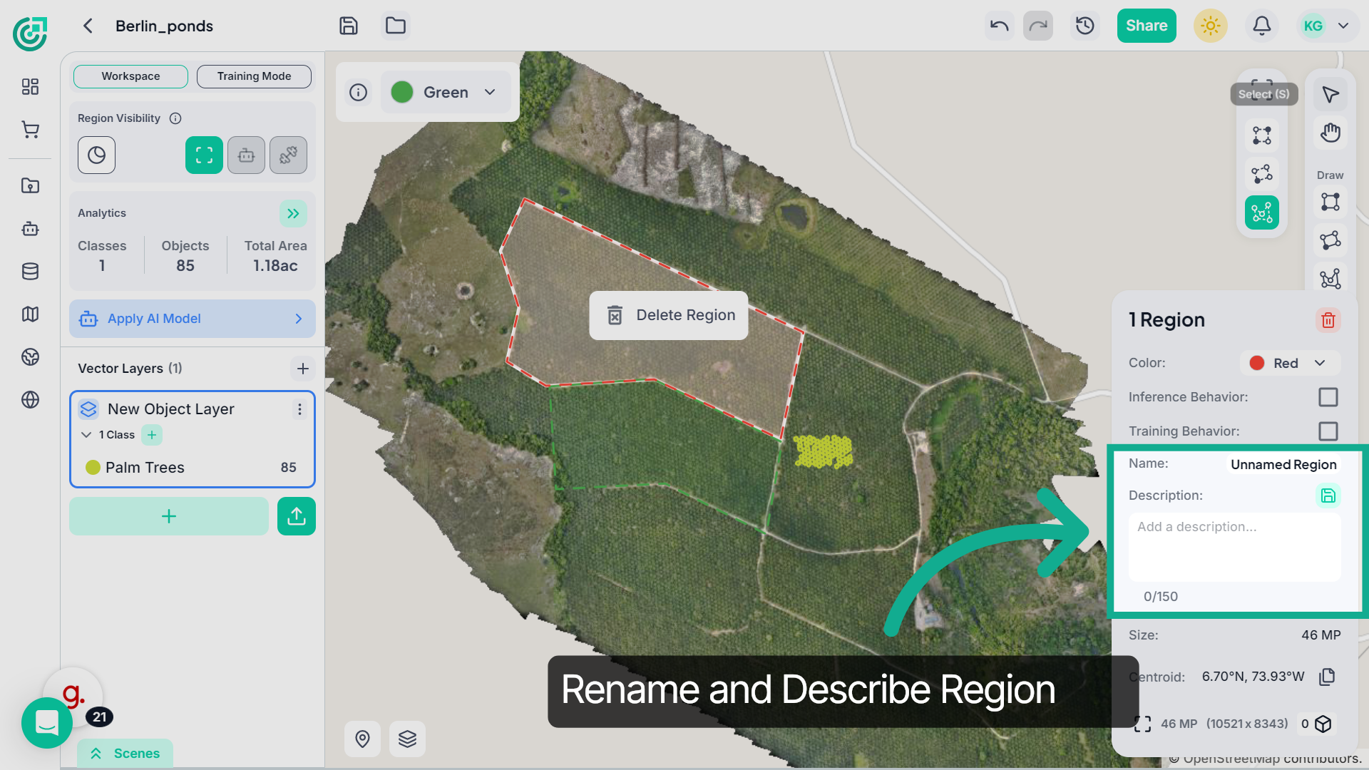 Rename and Describe the Region
