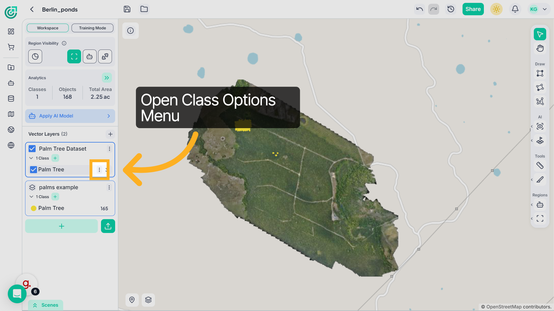 Open Class Options