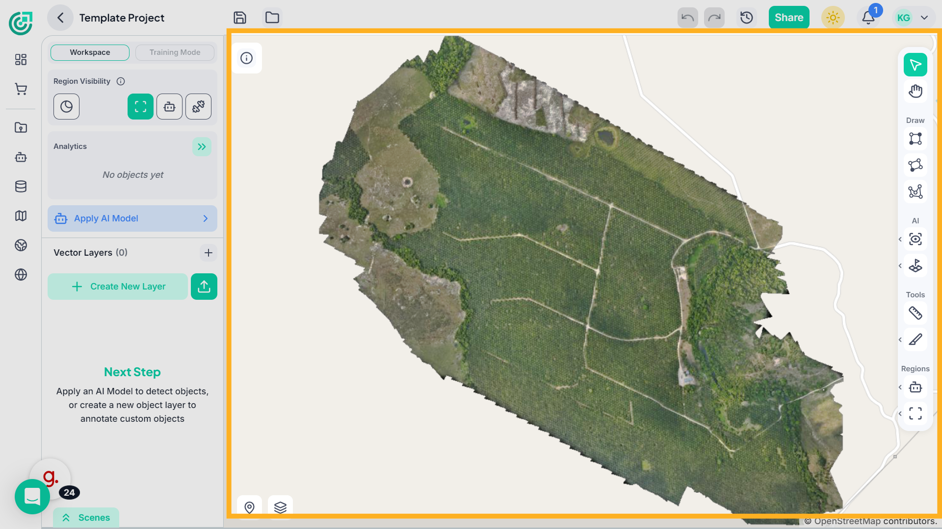 View Imagery in Workspace