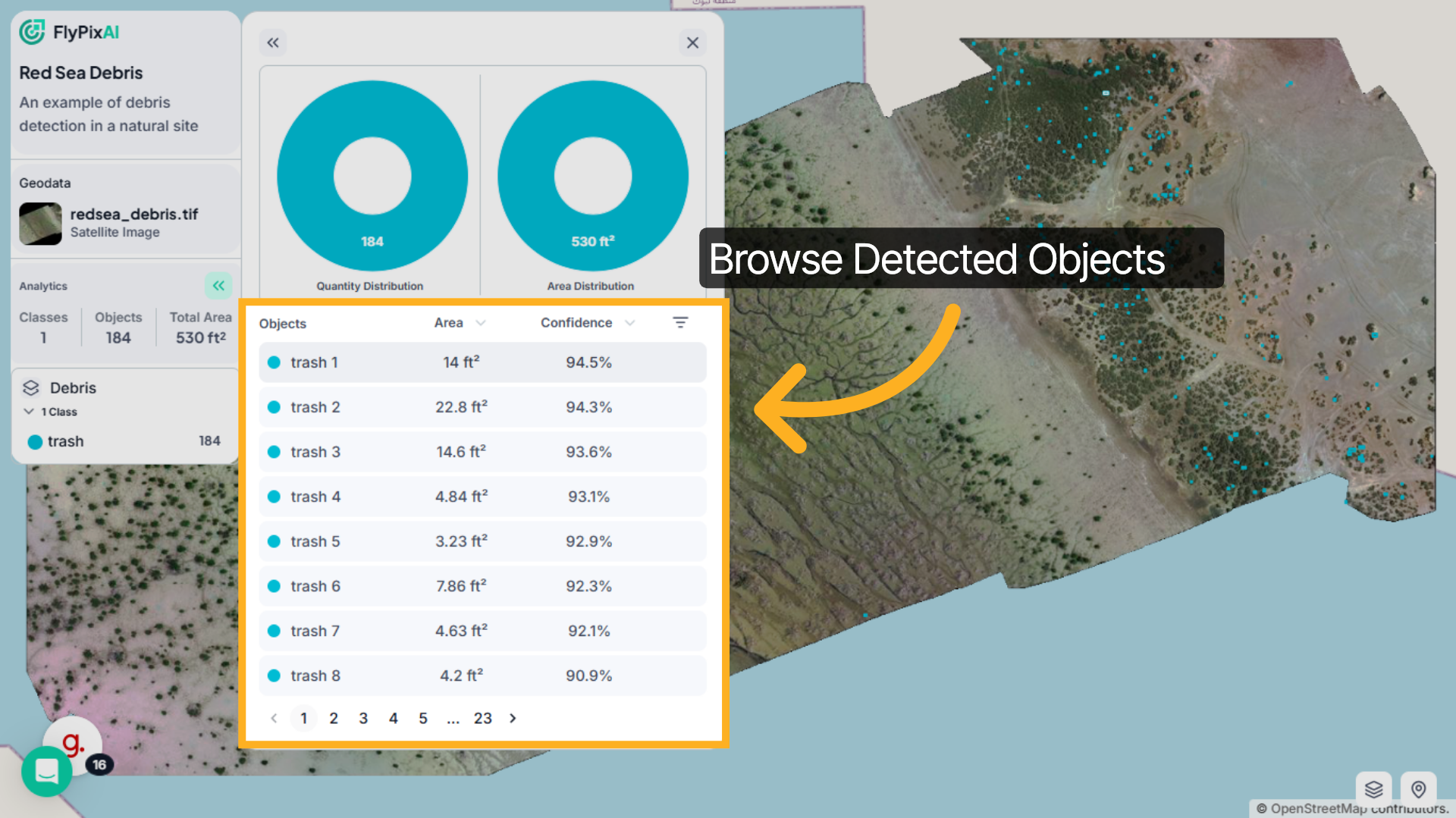 Browse Detected Objects