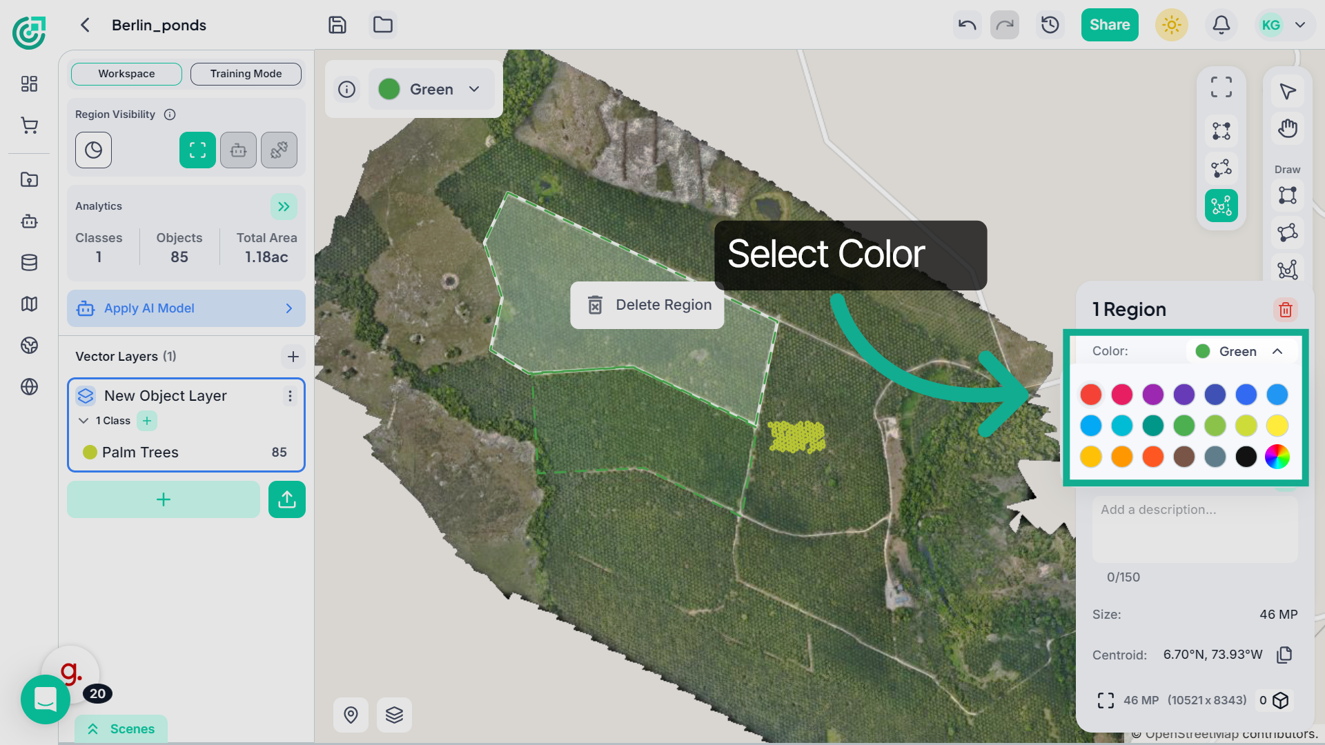 Change Region Color