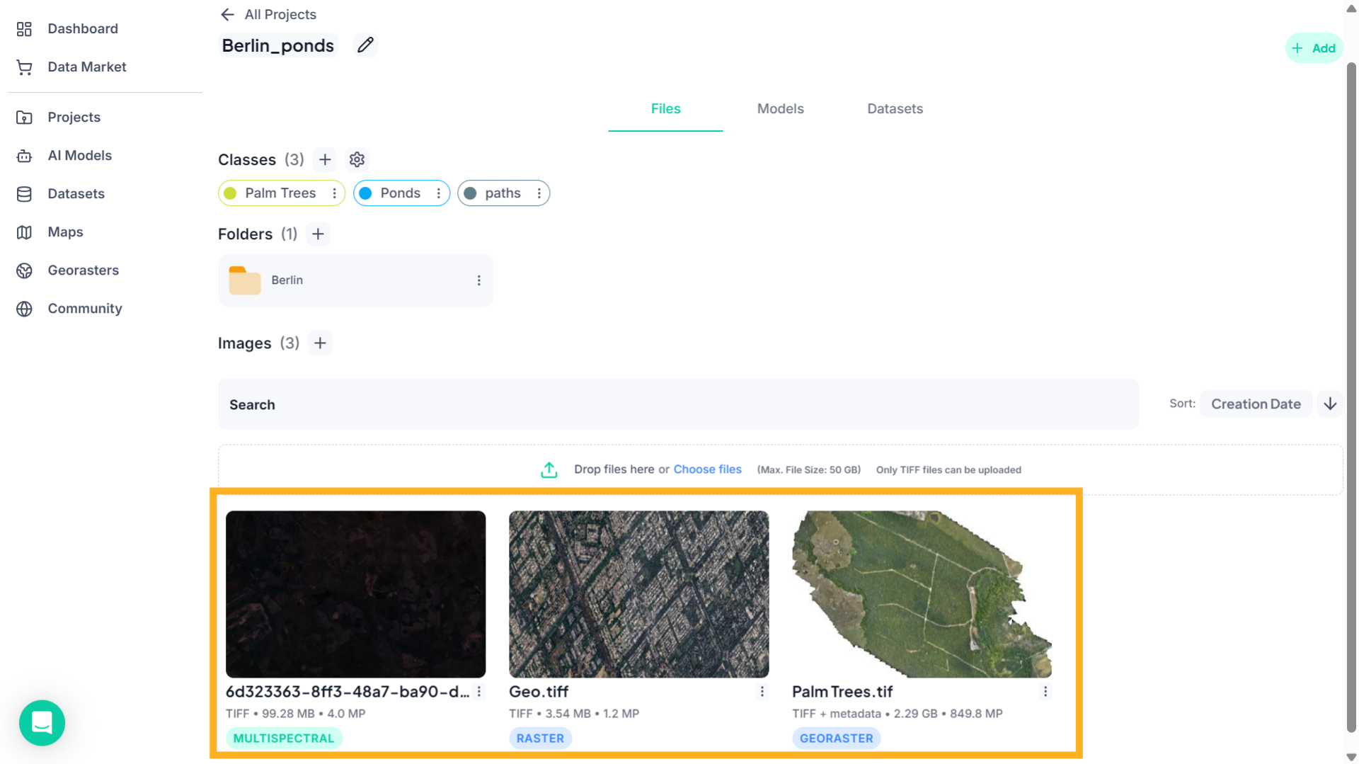 View Project Files