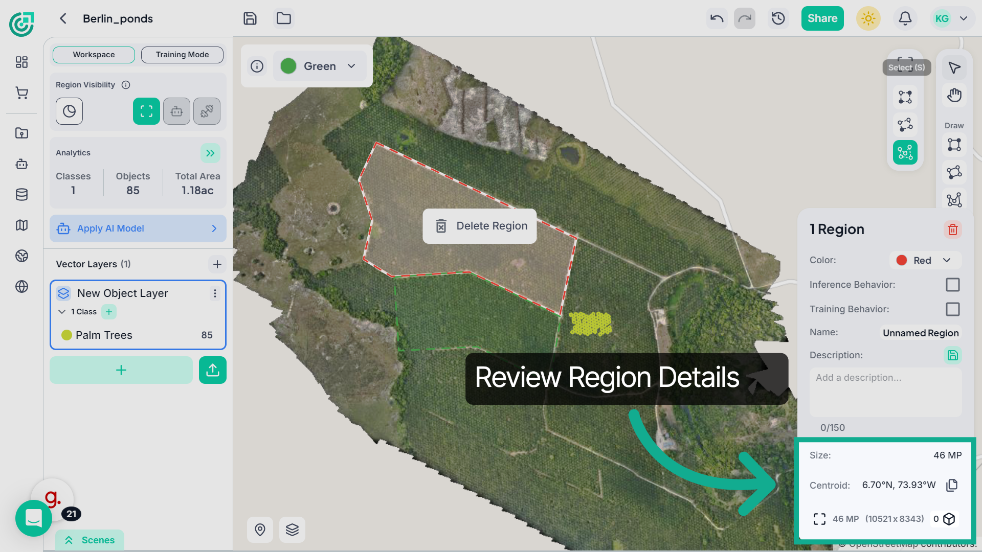 Review Region Details