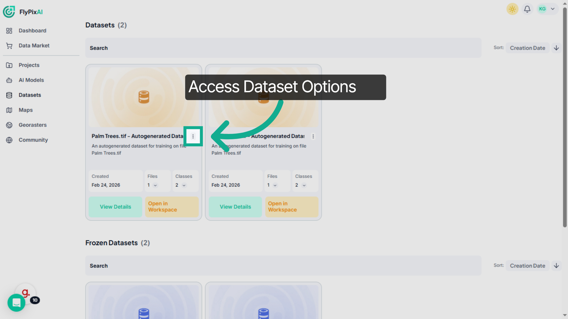Access Dataset Options