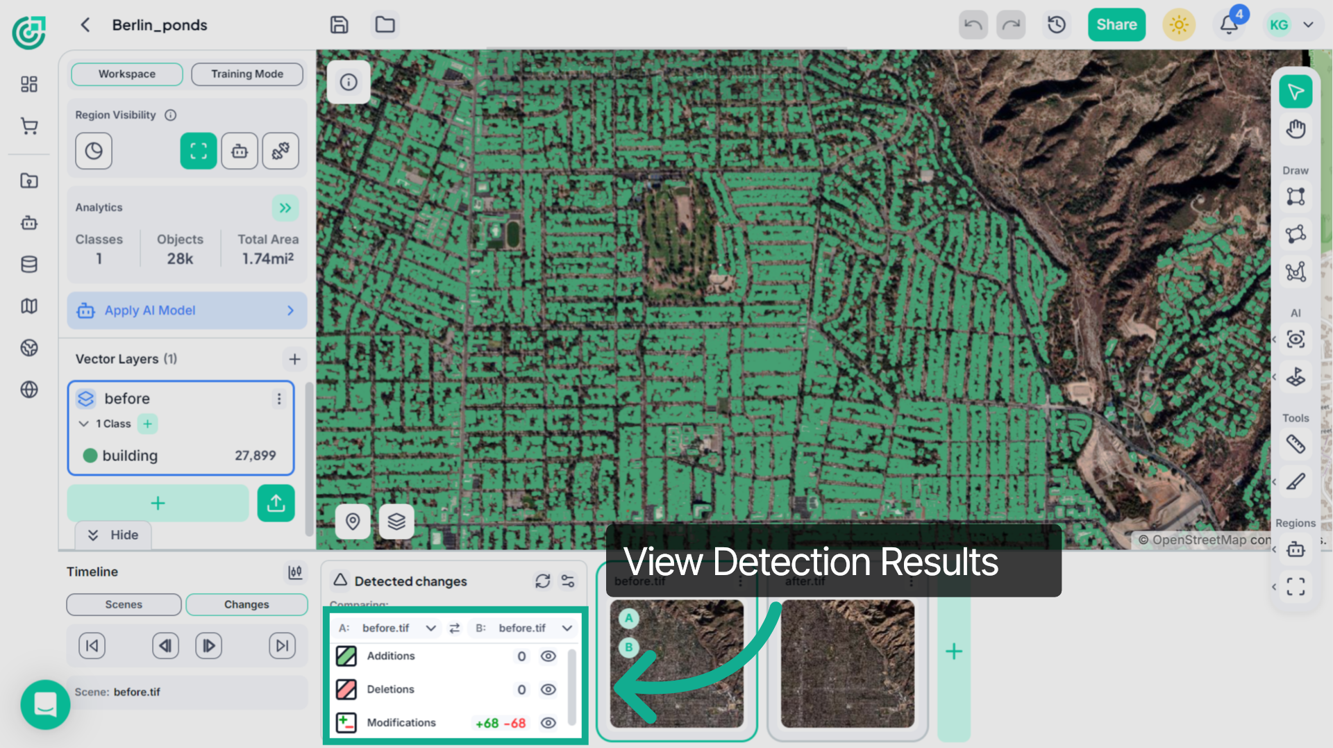 Detection Results