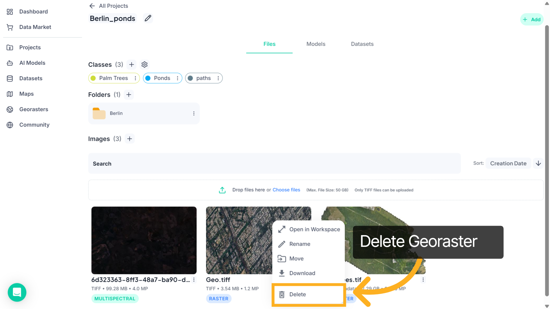 Delete Georaster