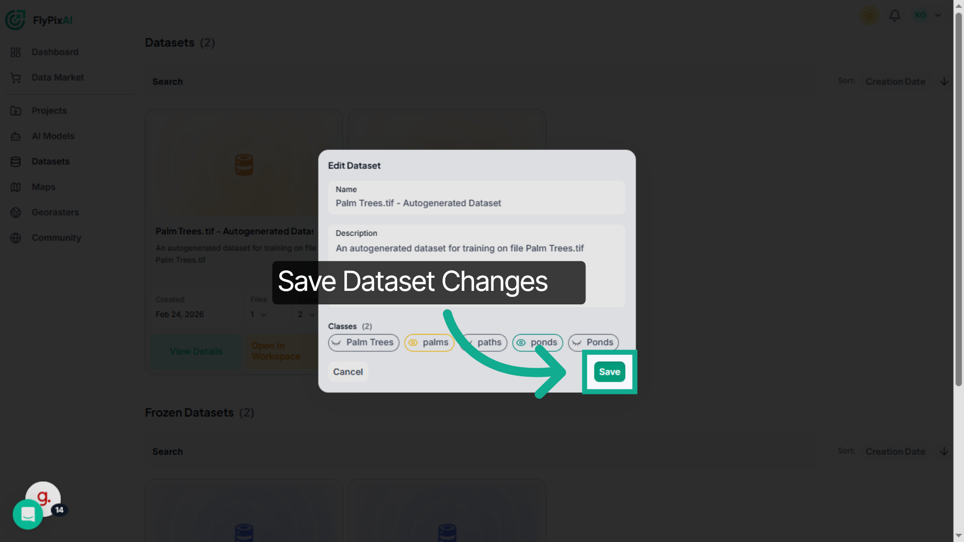 Save Dataset Changes