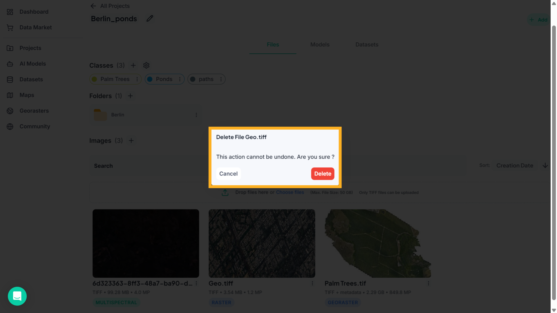 Confirm Deletion