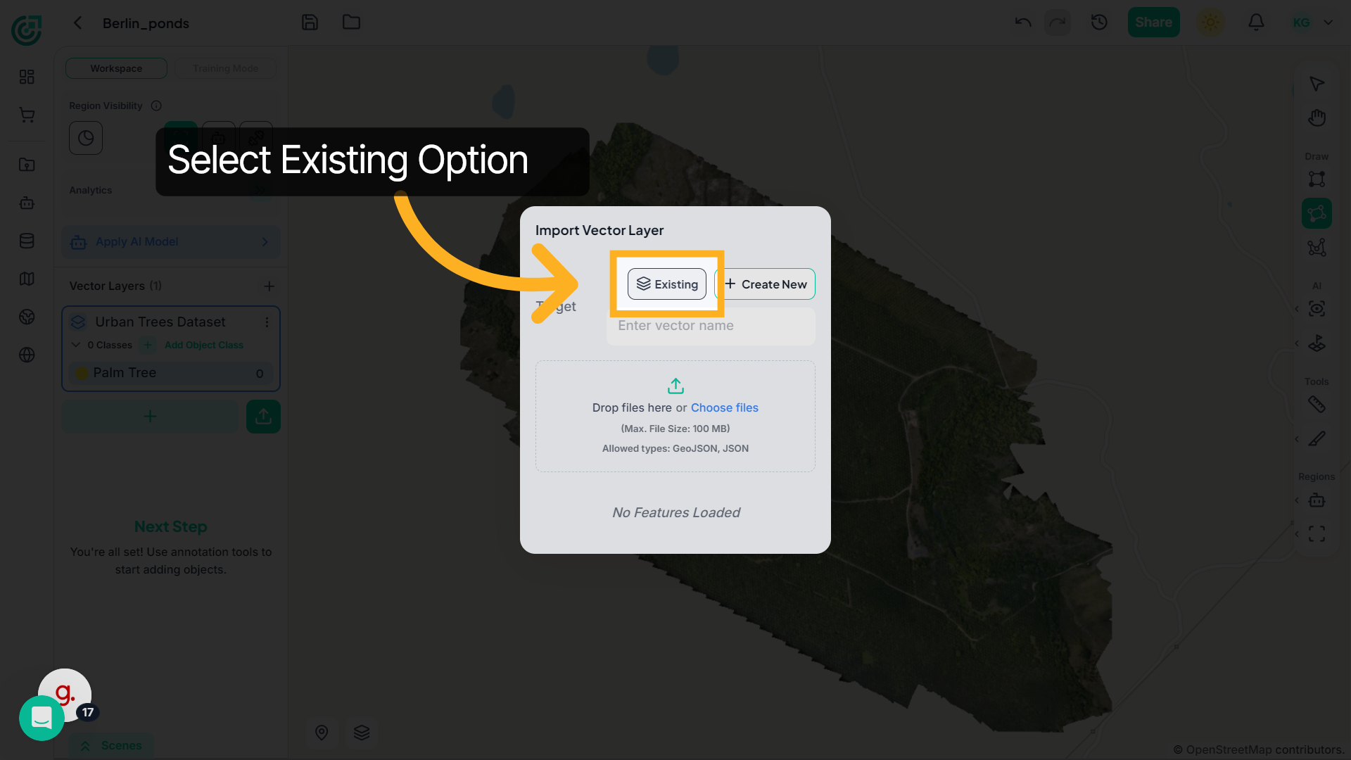 Select Existing Layer Option
