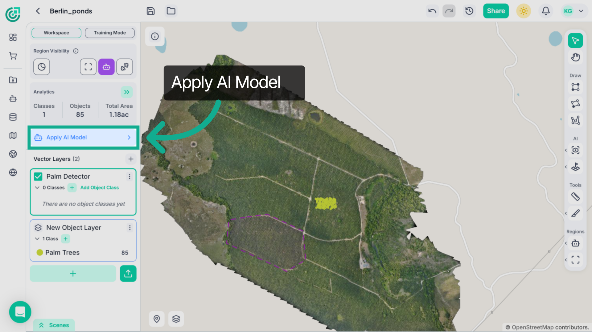 Apply AI Model