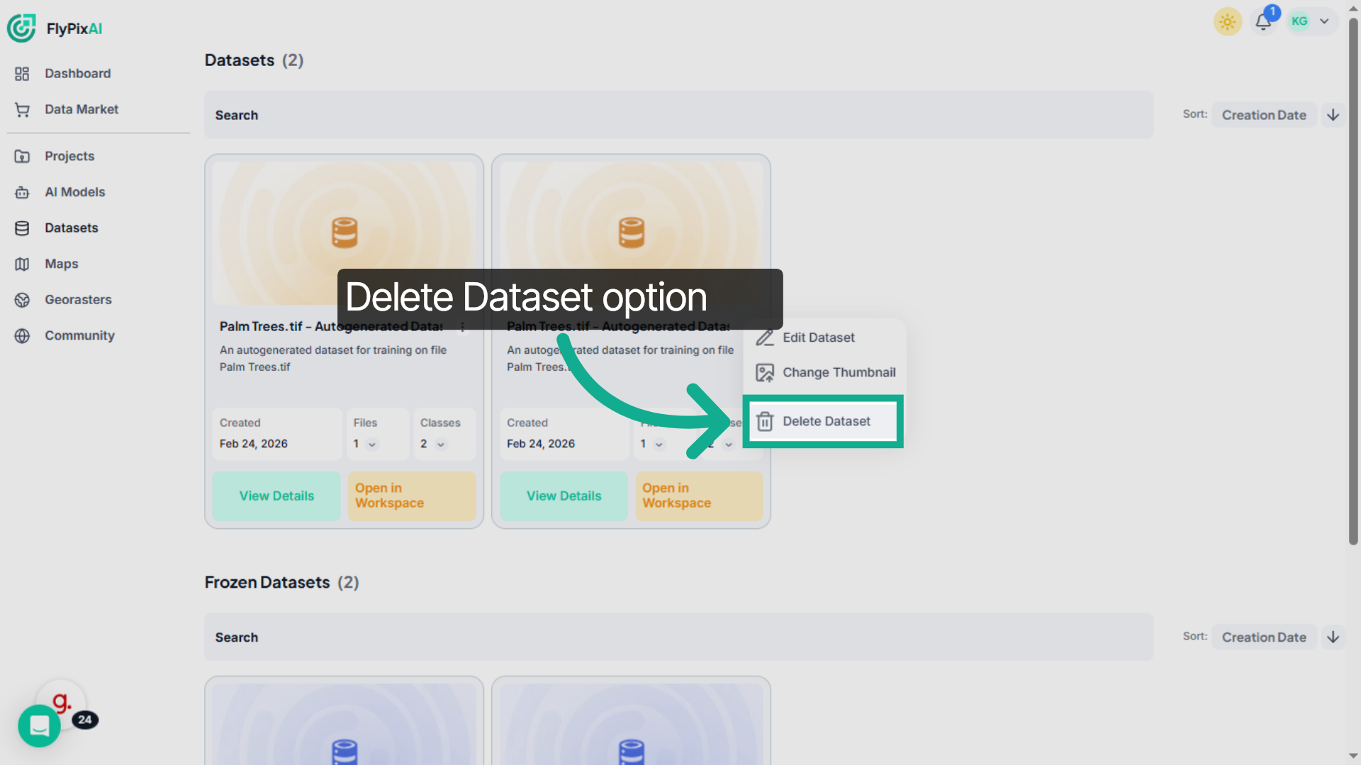 Initiate Dataset Deletion