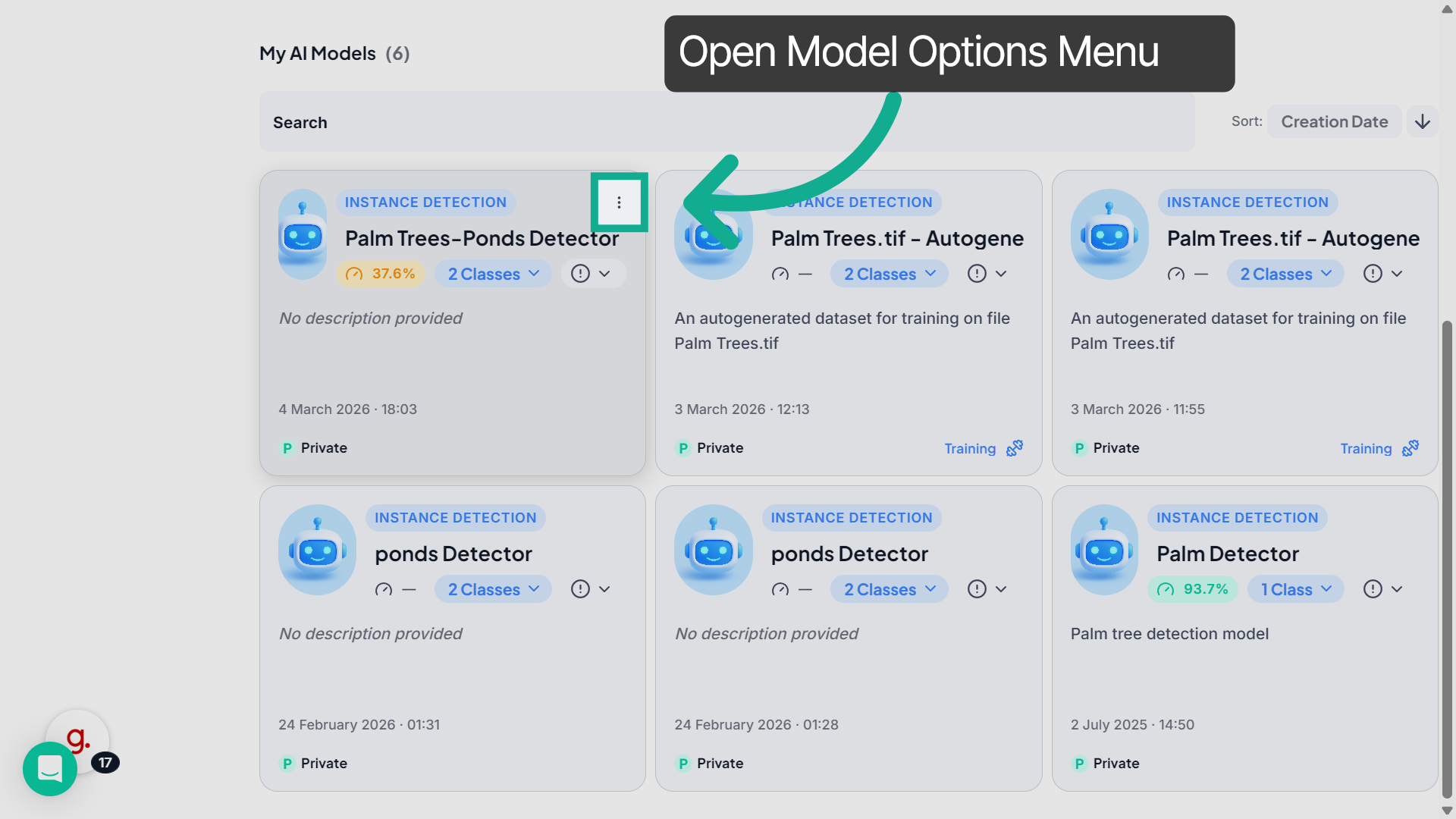 Open Model Options