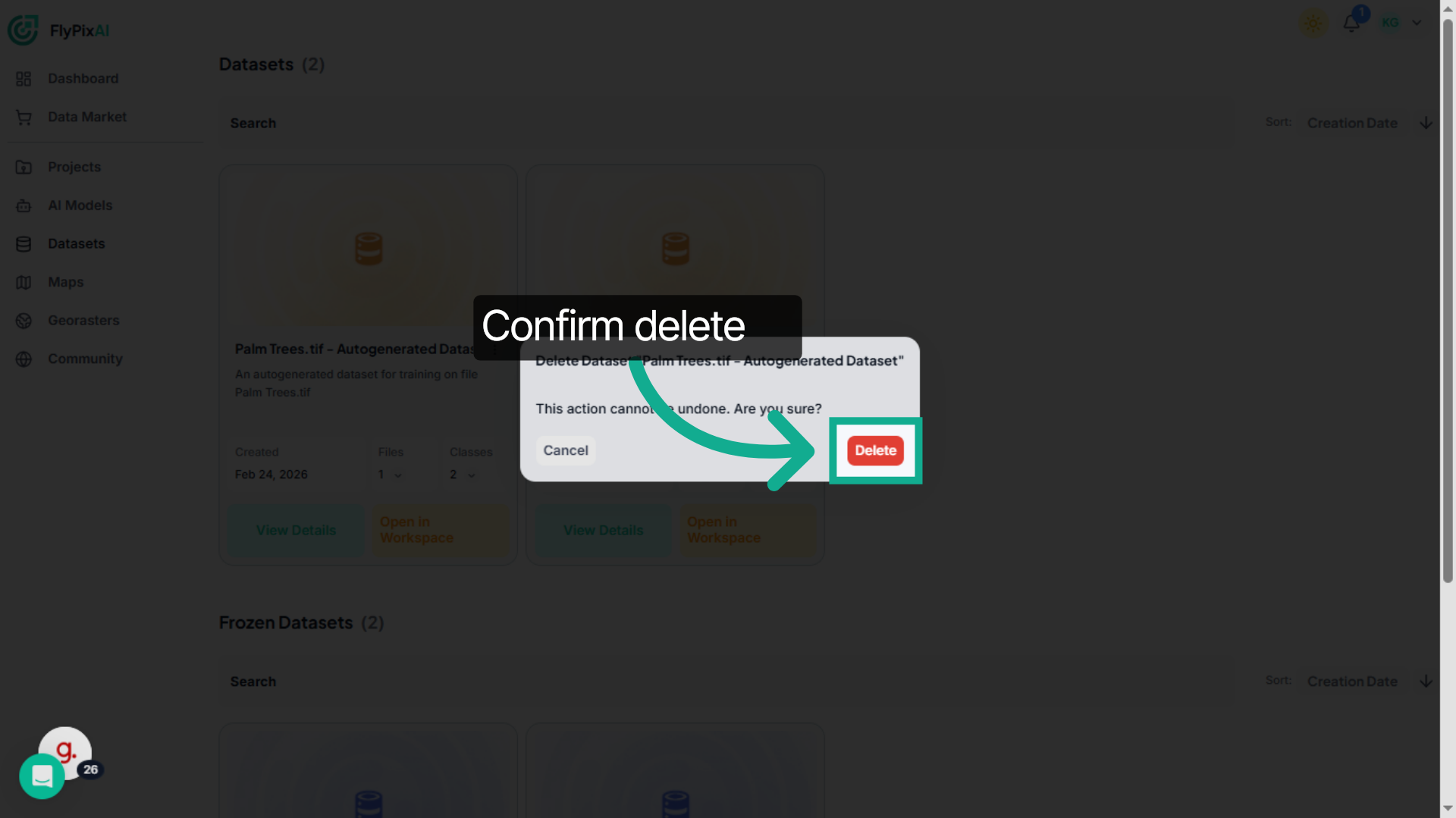 Confirm Dataset Deletion