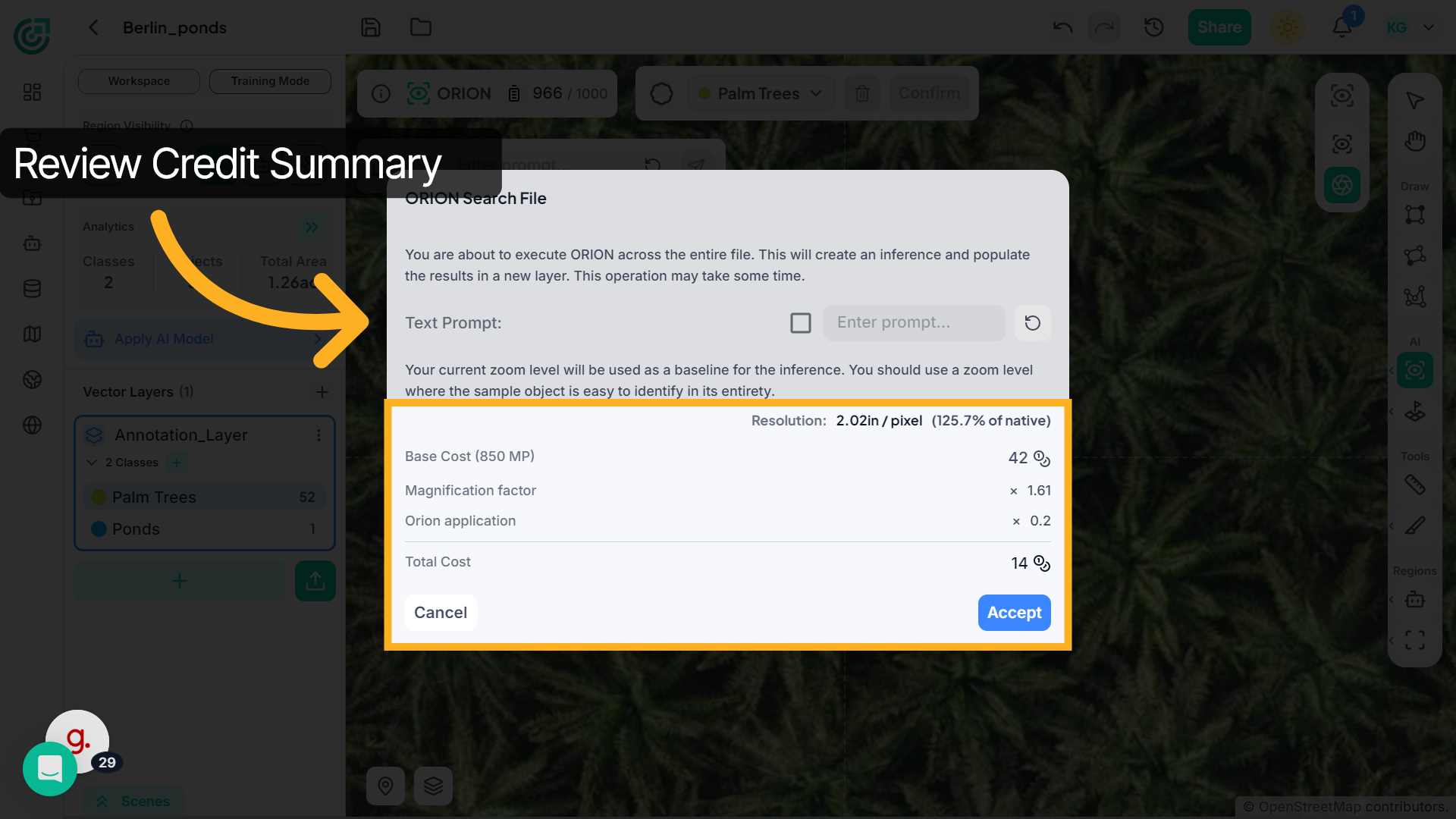 Review Credit Usage