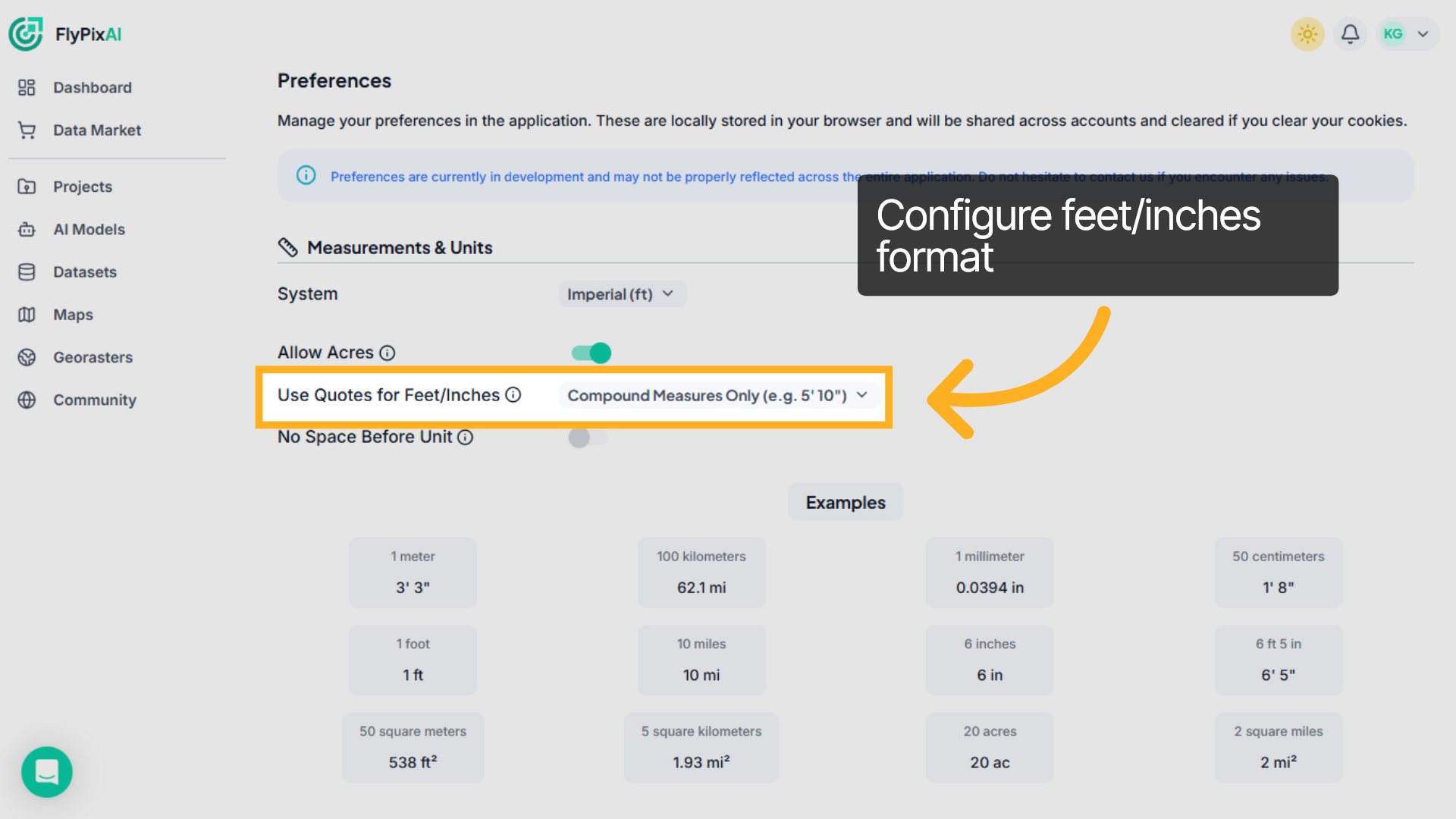 Configure feet/inches format