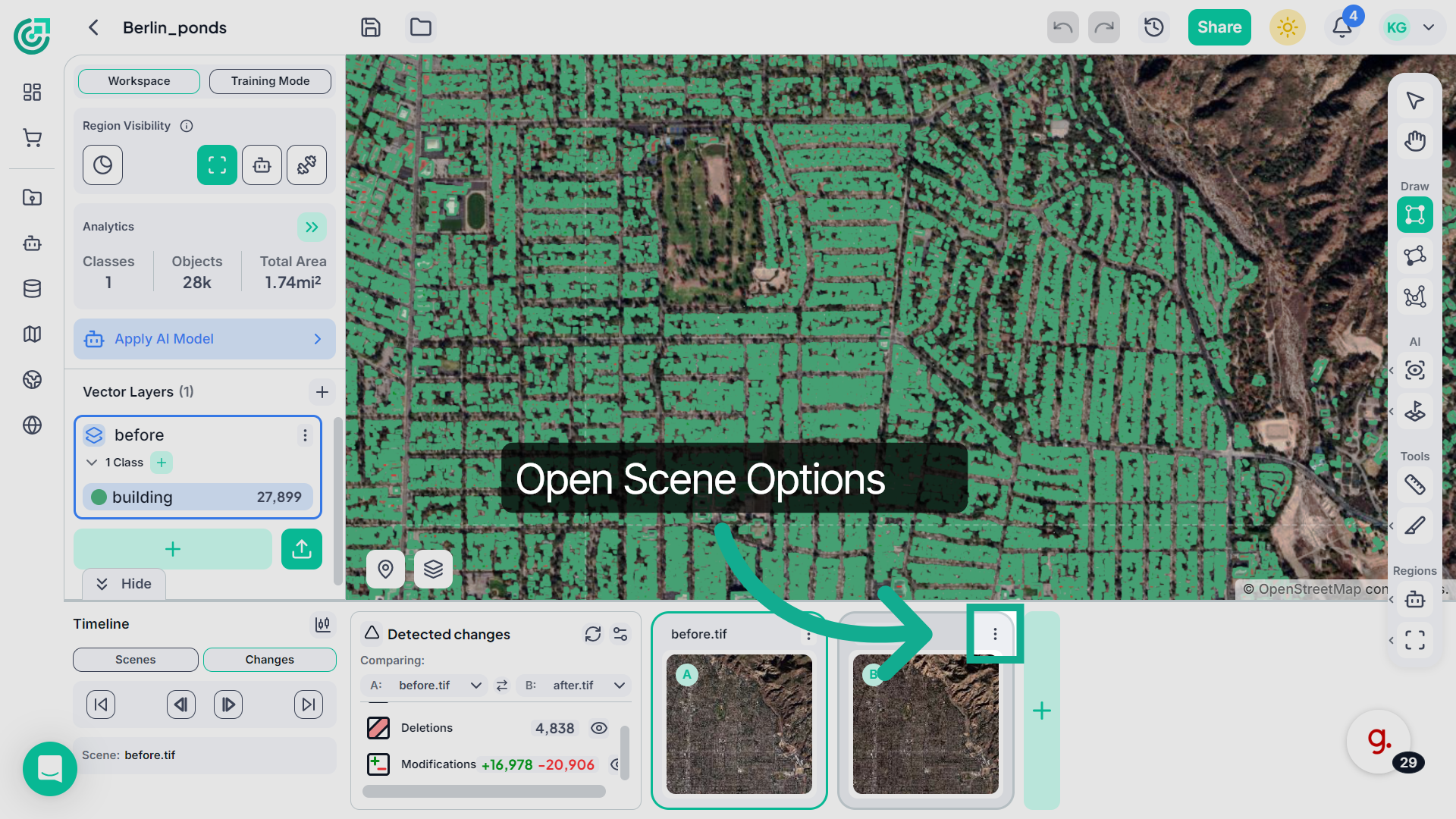 Manage Scene Options
