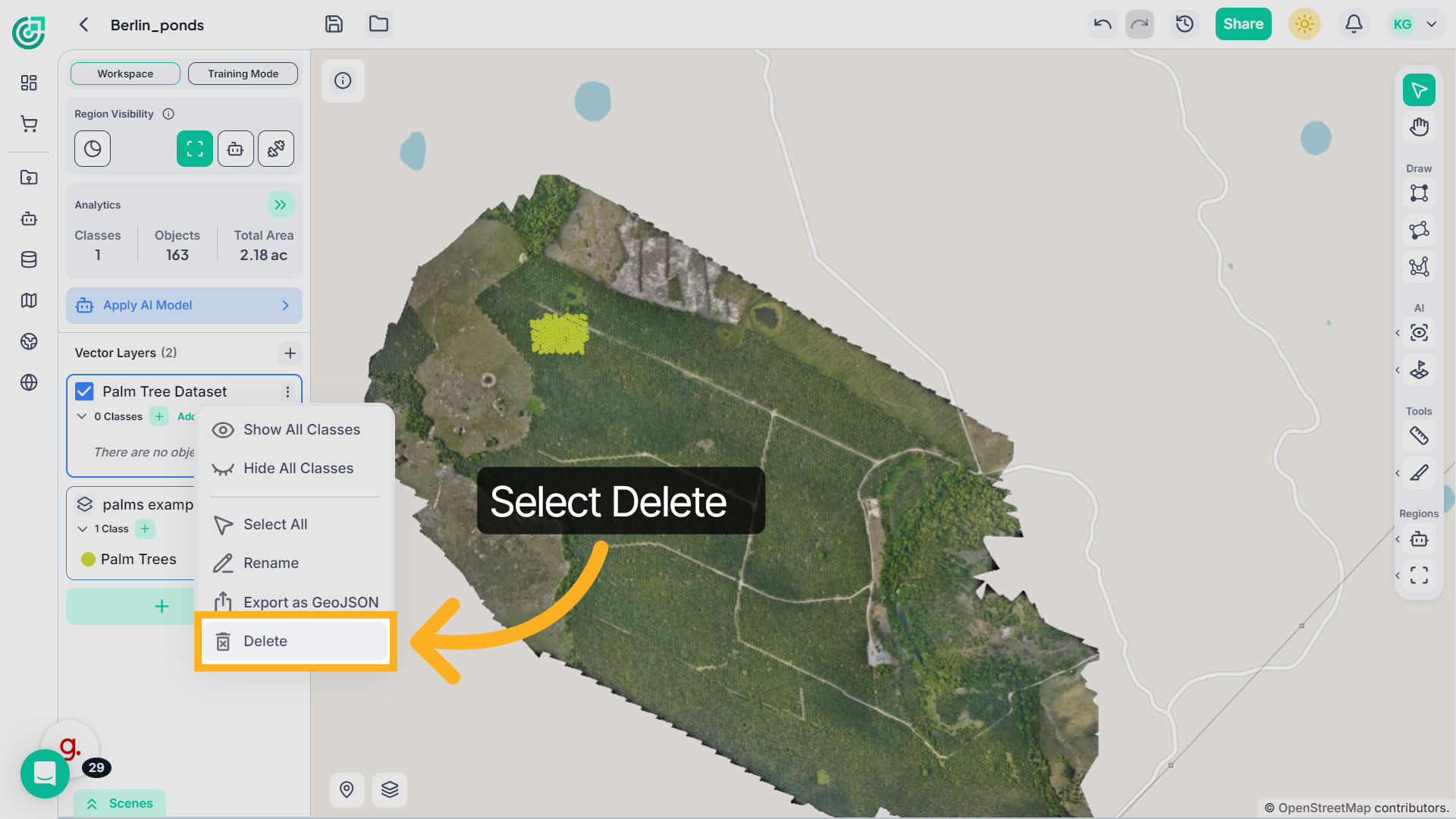 Select Delete Layer