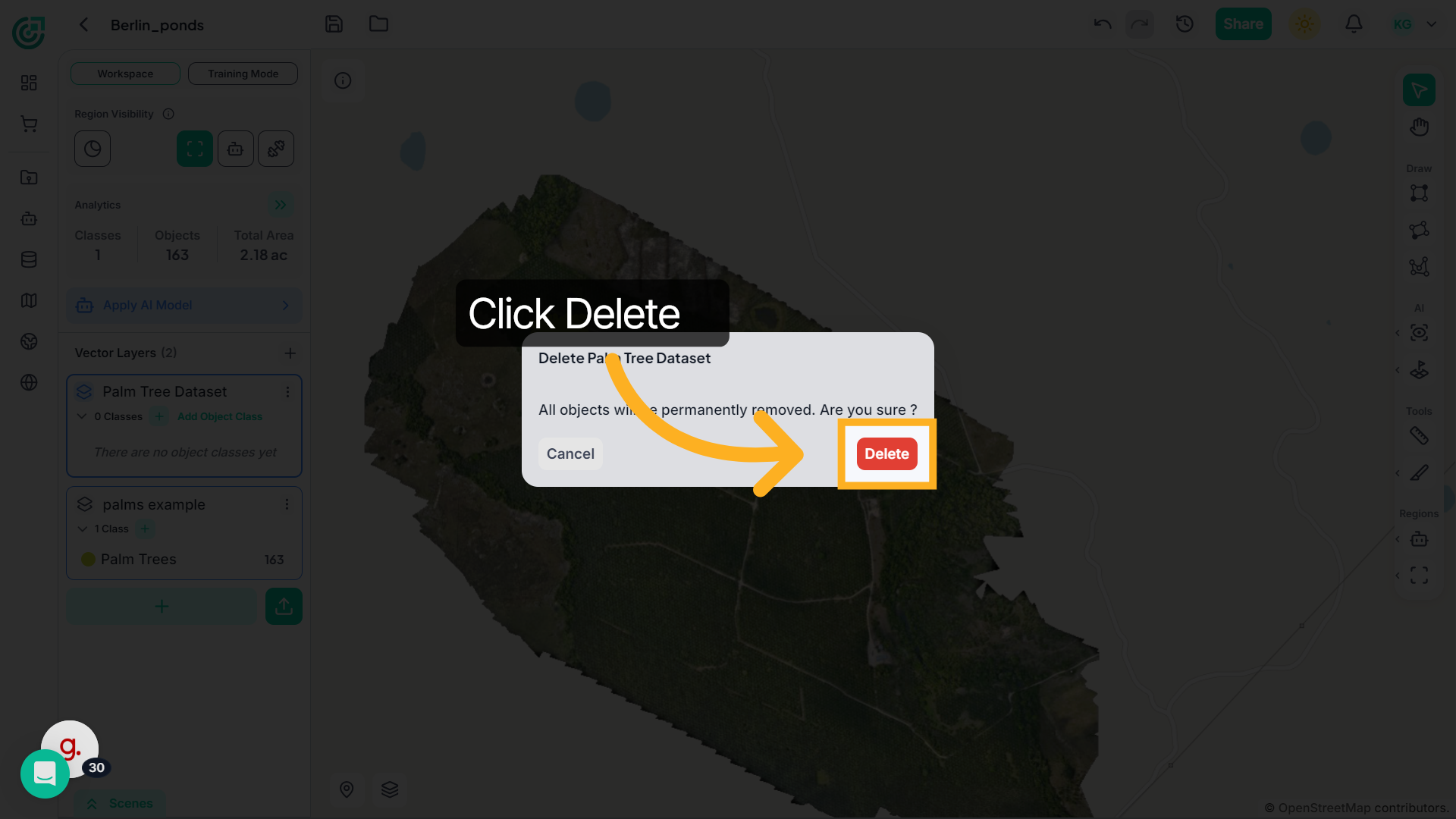 Confirm Layer Deletion