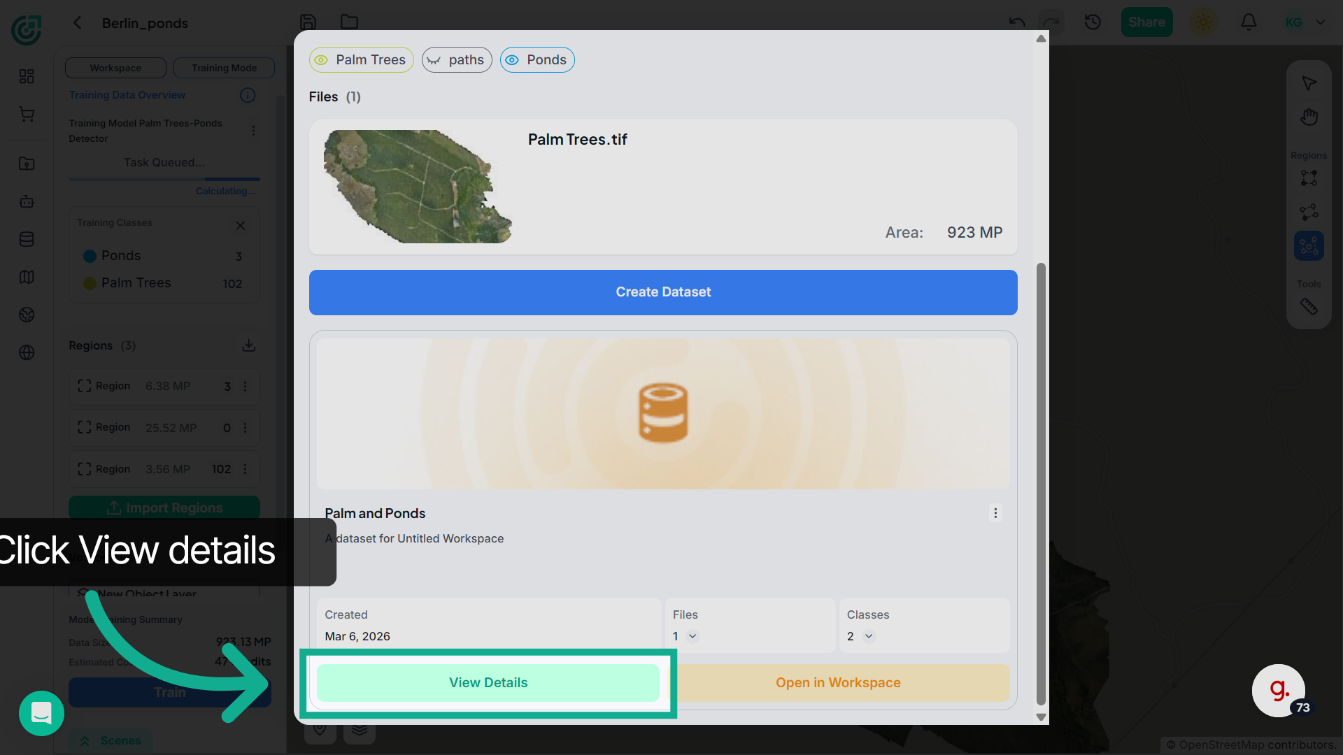 View Dataset Details