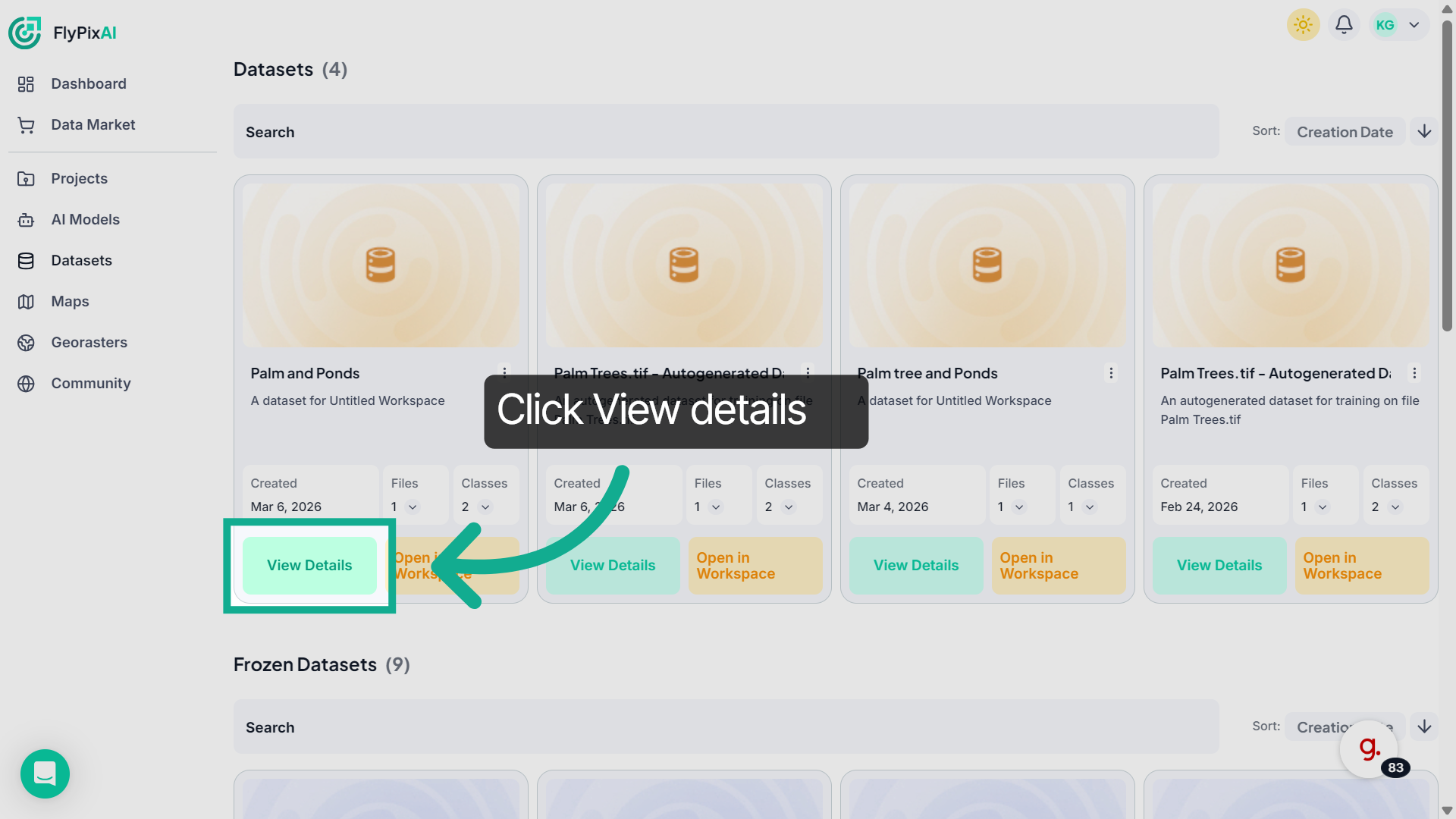 View Dataset Details