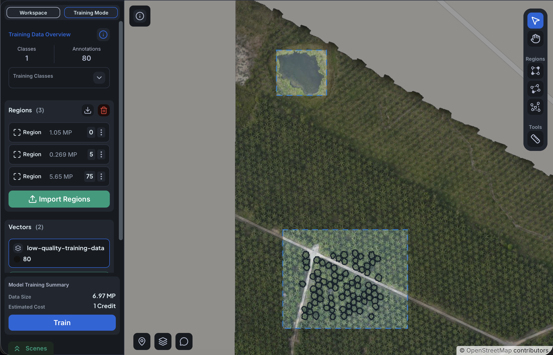 Negative region placed over a small body of water next to a palm grove with annotations